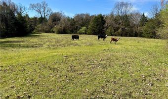Hwy 186, Altus, AR 72821