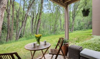 412 Vine St, Aspen, CO 81611