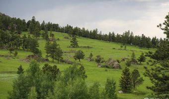 Old Flowers Rd, Bellvue, CO 80512