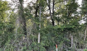 Lakepoint Road, Alford, FL 32420