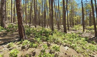 249 Timber Dr, Bayfield, CO 81122