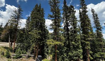 584 Camron Ln Lot 6, Breckenridge, CO 80424