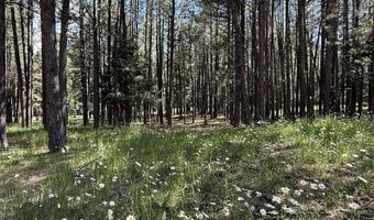 Lot 940 White Sands Circle, Angel Fire, NM 87710