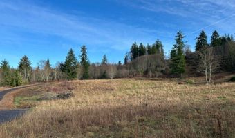 Parcel 3 Blaine Road, Beaver, OR 97108