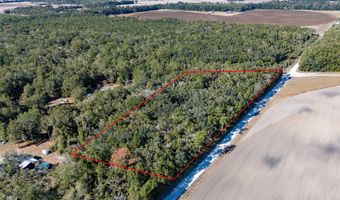 4035 County Road 342, Bell, FL 32619