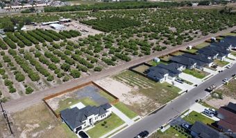 1421 W Dawes Ave, Alton, TX 78573