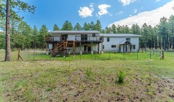 41 Susan Ln, Angel Fire, NM 87710