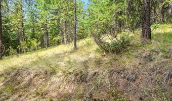 NNA USFS 2550 40 acres, Blanchard, ID 83804