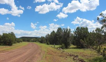 29 Co Rd 3199, Vernon, AZ 85940
