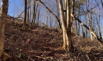 Snow Ridge Road lot 39 And 40, Banner Elk, NC 28604