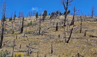 Nhn Plaindealer Lode Depot Hill Road, Boulder, MT 59632