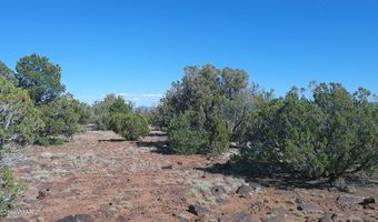 24 County Road 8063, Concho, AZ 85924