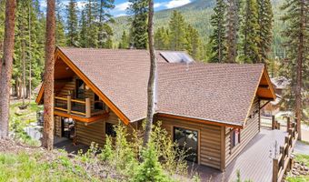 433 97 Cir, Blue River, CO 80424