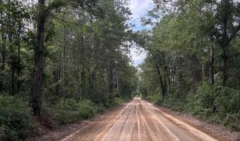 570 Bethany Church Rd, Bainbridge, GA 39817
