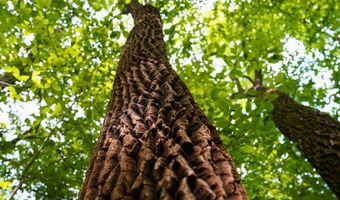 Airport Rd lot 0, Bassett, VA 24055