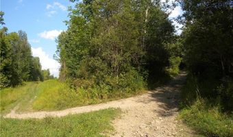 1454 Crane Ln, Woodhull, NY 14801