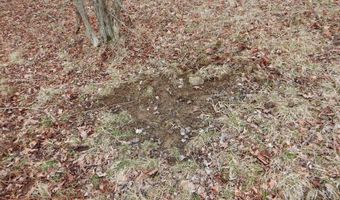 County Route 16, Angelica, NY 14709