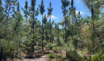 001 West Rd, Bethune, SC 29009