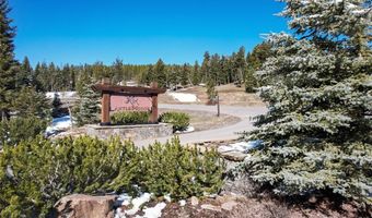 389 Antler Ridge Rd, Big Sky, MT 59716