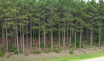 391 Twin Lakes Trl, Nekoosa, WI 54457