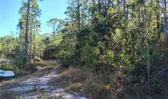 SMITH STREET, Astor, FL 32102