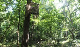 Us-51, Bogue Chitto, MS 39629
