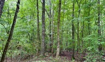 CR 265, Bruce, MS 38915