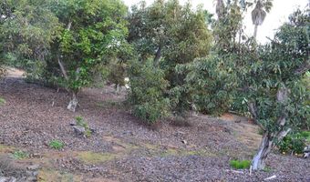 0 Canyon Heights Rd, Fallbrook, CA 92028