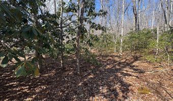 Brookstone Road lot 3, Bastian, VA 24314