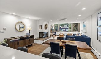 926 Waters Ave 301, Aspen, CO 81611