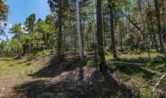 Lot 148 Brazos Dr, Angel Fire, NM 87710