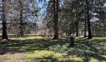 83 High St, Angelica, NY 14709