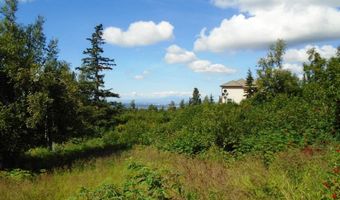 12801 Midori Dr, Anchorage, AK 99516