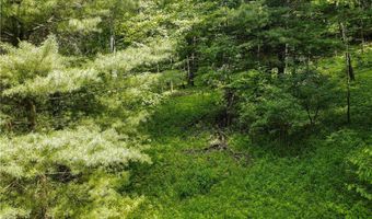 738 Four Mile Rd, Allegany, NY 14706