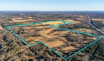 193444 Us Hwy 271, Antlers, OK 74523