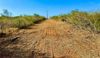 1252 CR 202, Alice, TX 78332