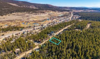 421 N Aspen St, Alma, CO 80420