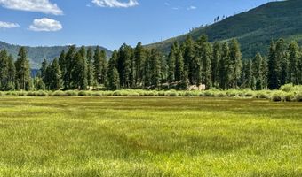 156 Golden Forest Rd, Bayfield, CO 81122