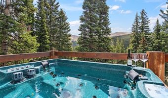 229 Lee Ln, Breckenridge, CO 80424