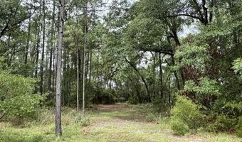 4850 NW 55th Ave, Bell, FL 32619
