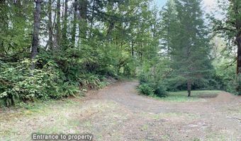 McKenzie River Dr 1800, Blue River, OR 97413