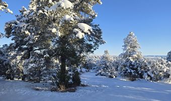 450 Arizona Rd, Ash Fork, AZ 86320