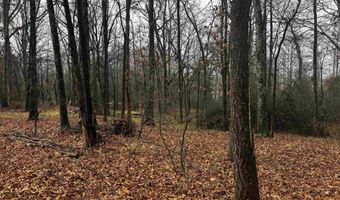 67 Old Wire Rd, Atkins, AR 72823