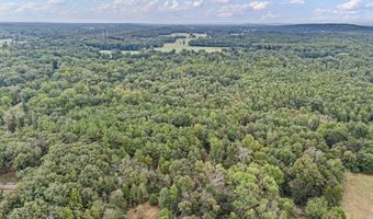 11882 E Old Belleville Rd, Belleville, AR 72824