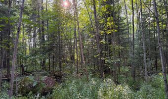County Road Y, Aniwa, WI 54408