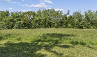 1655 Mary Lamons Rd, Afton, TN 37616