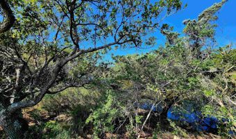 42195 Shallow Point Dr Lot 29, Avon, NC 27915