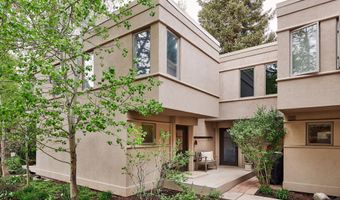 814 W Bleeker St C-1, Aspen, CO 81611