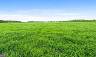 377 Acres Brent, Barnesville, GA 30204