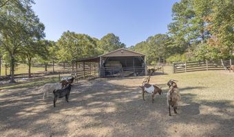 193 Pineland Meadows Rd, Belton, SC 29627